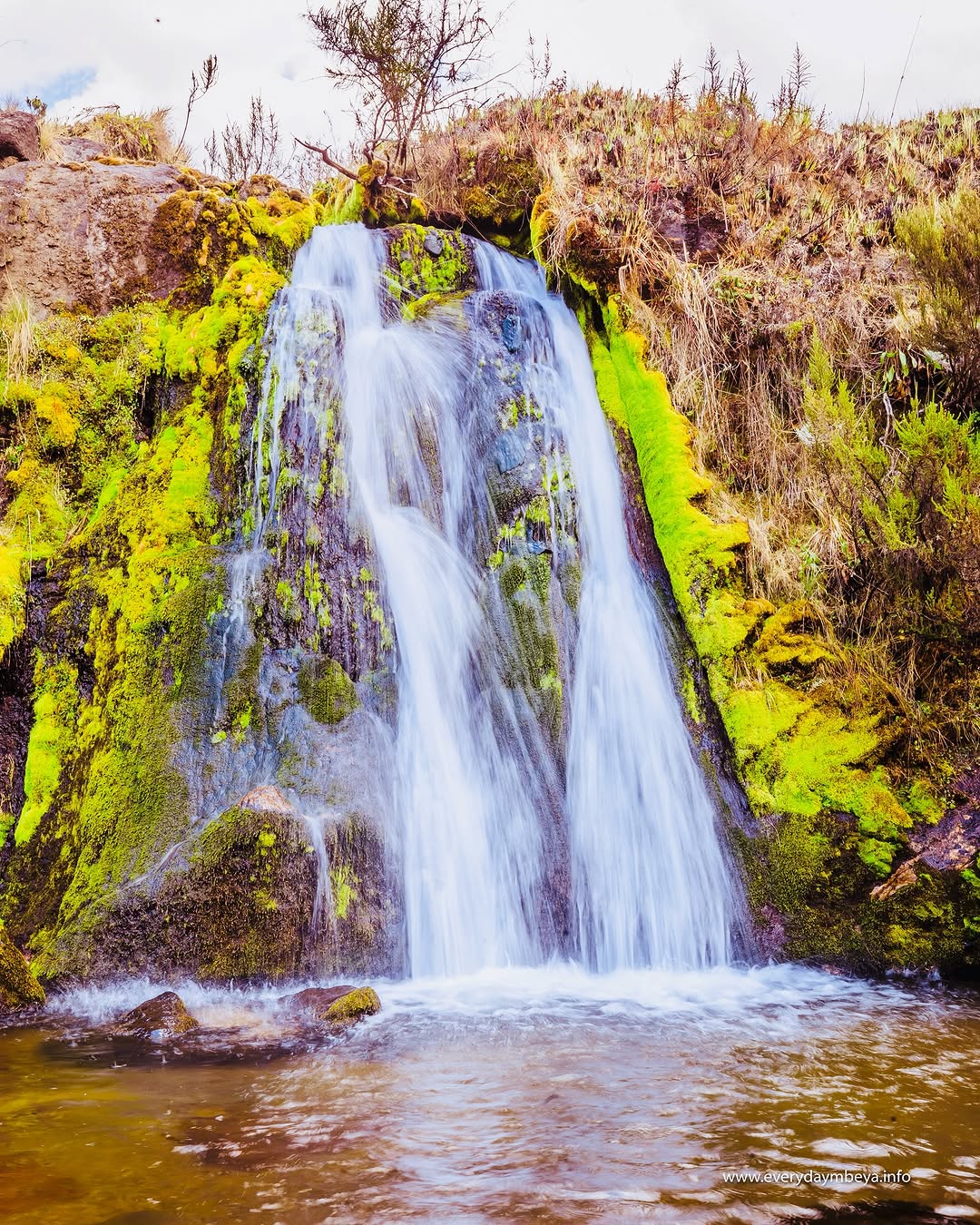 listing-details-carousel