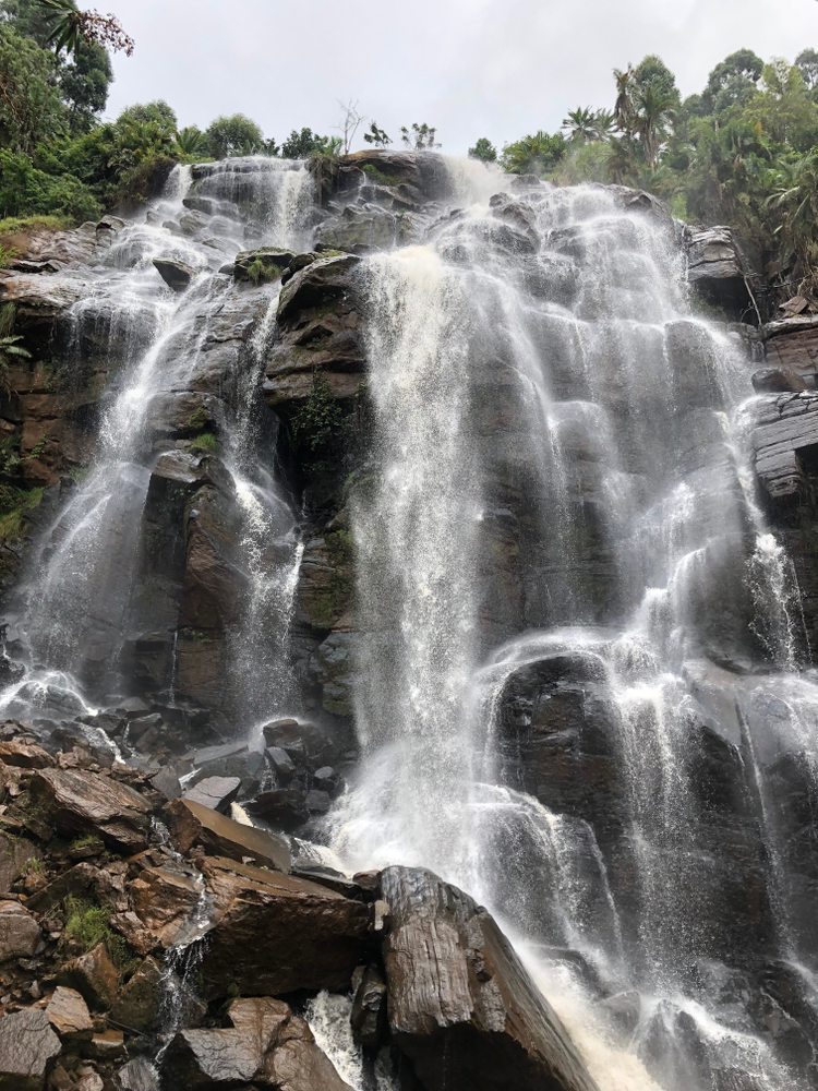 Lushoto Nature Tour