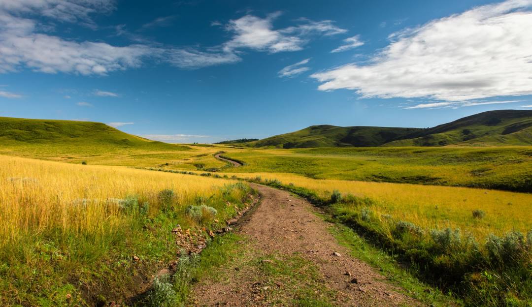 listing-details-carousel