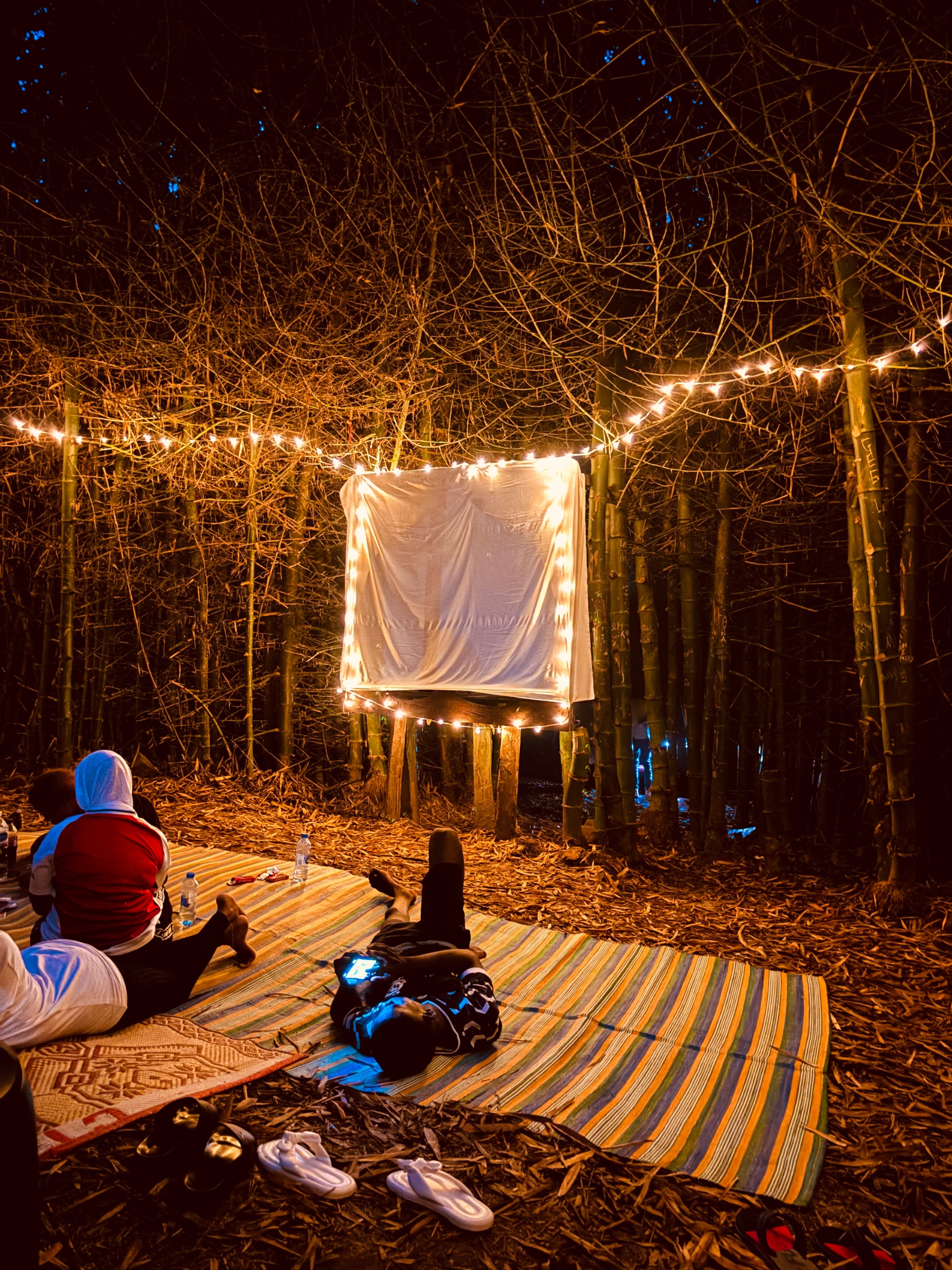 listing-details-carousel