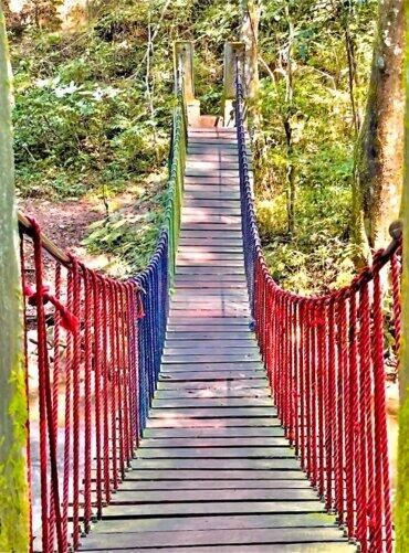 listing-details-carousel