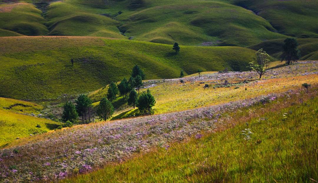 listing-details-carousel