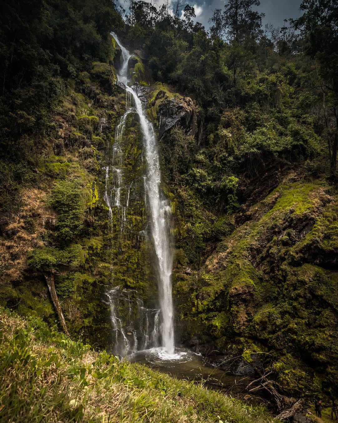 Kitulo National Park