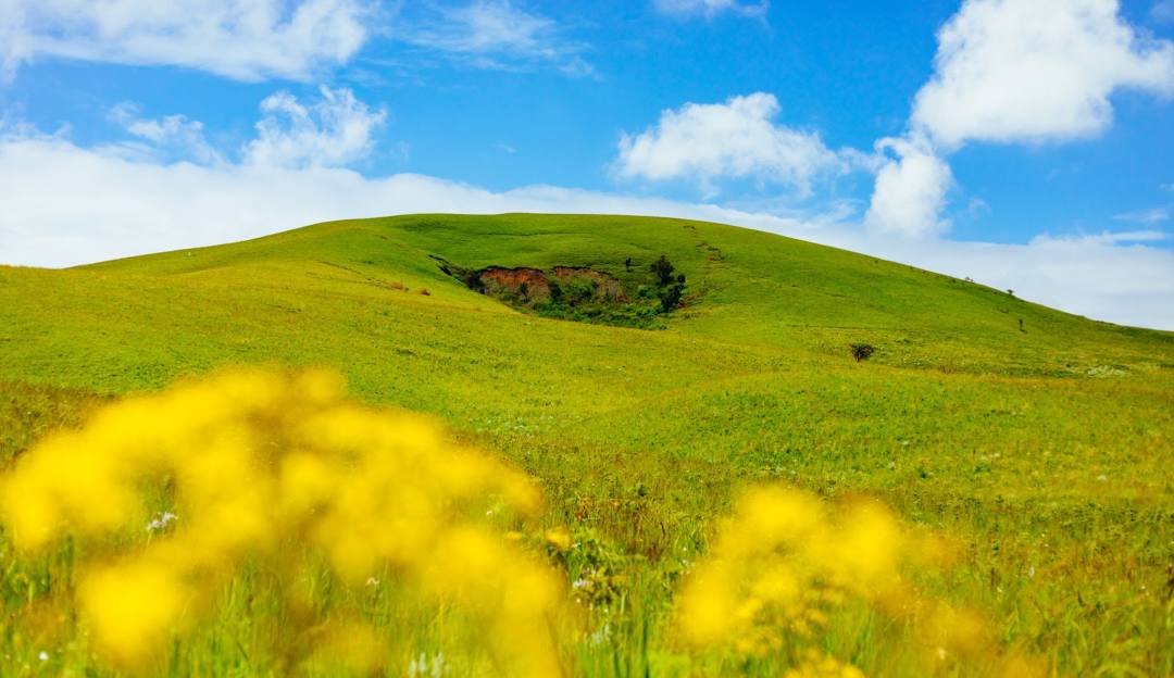 listing-details-carousel